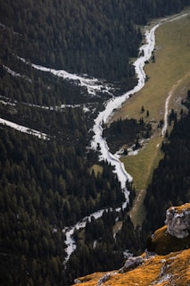 A drone shot capturing the winding river cutting through dense forest in the Waldviertel region.