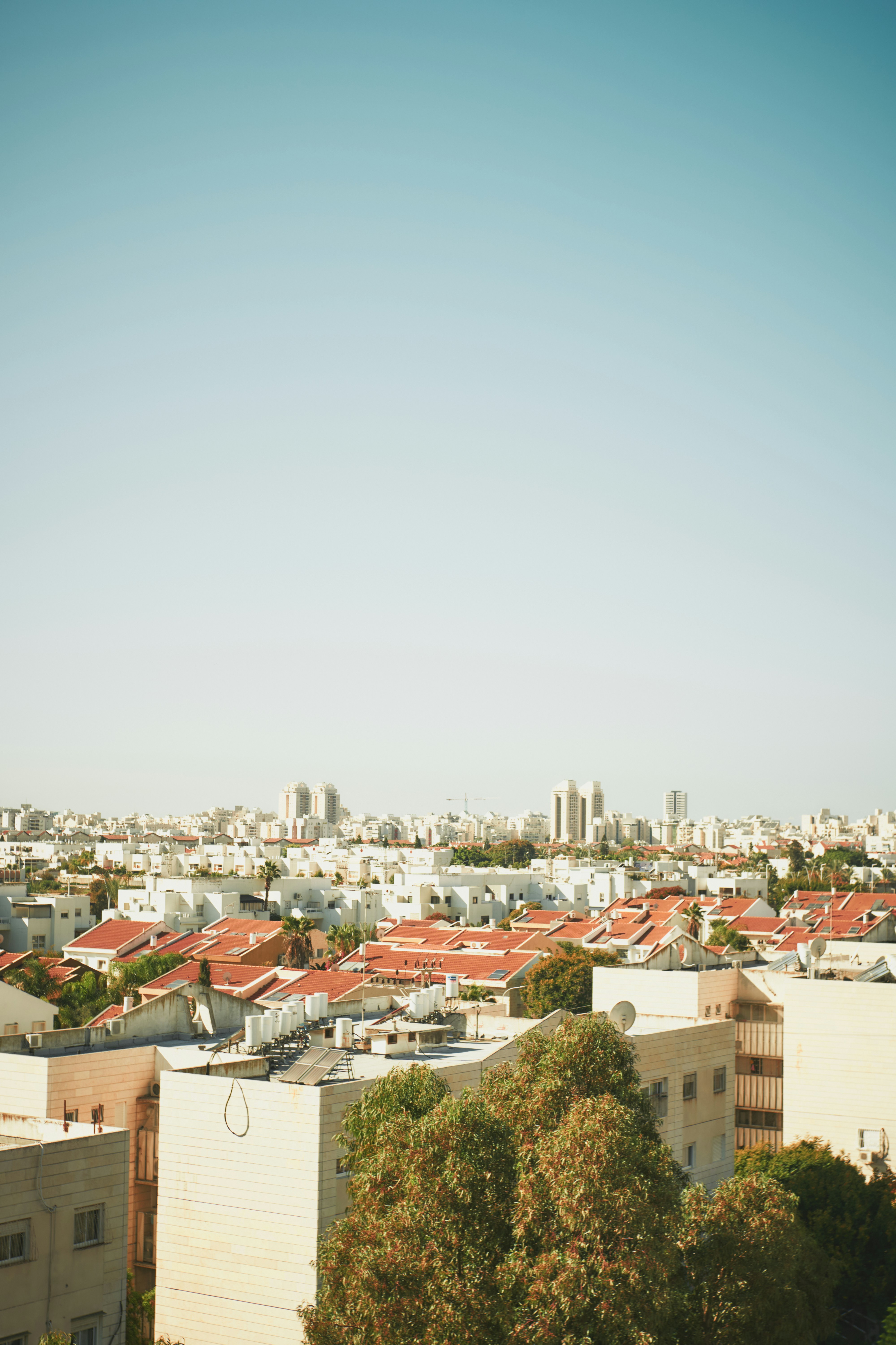 Photo by ficklesupreme