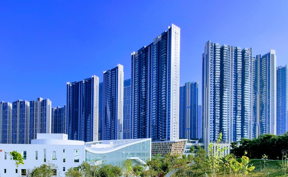 high rise buildings during daytime