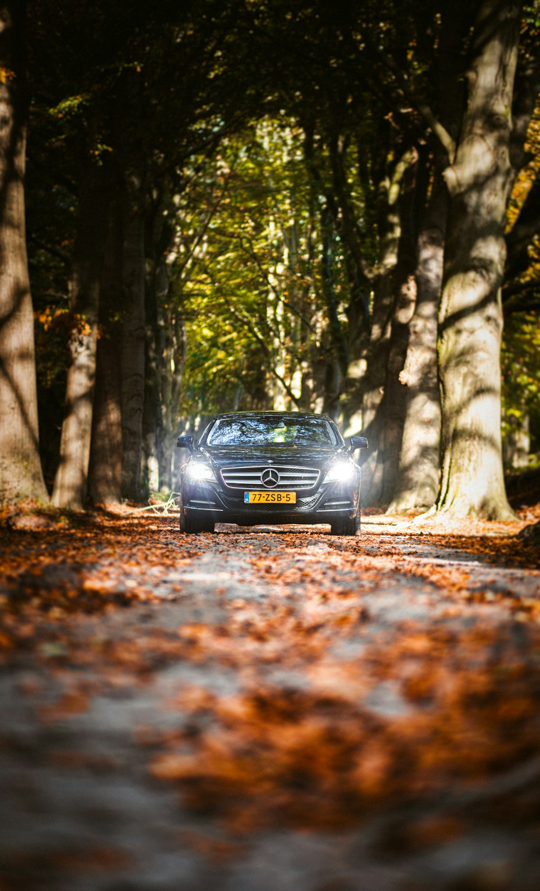 black mercedes benz c class on forest during daytime