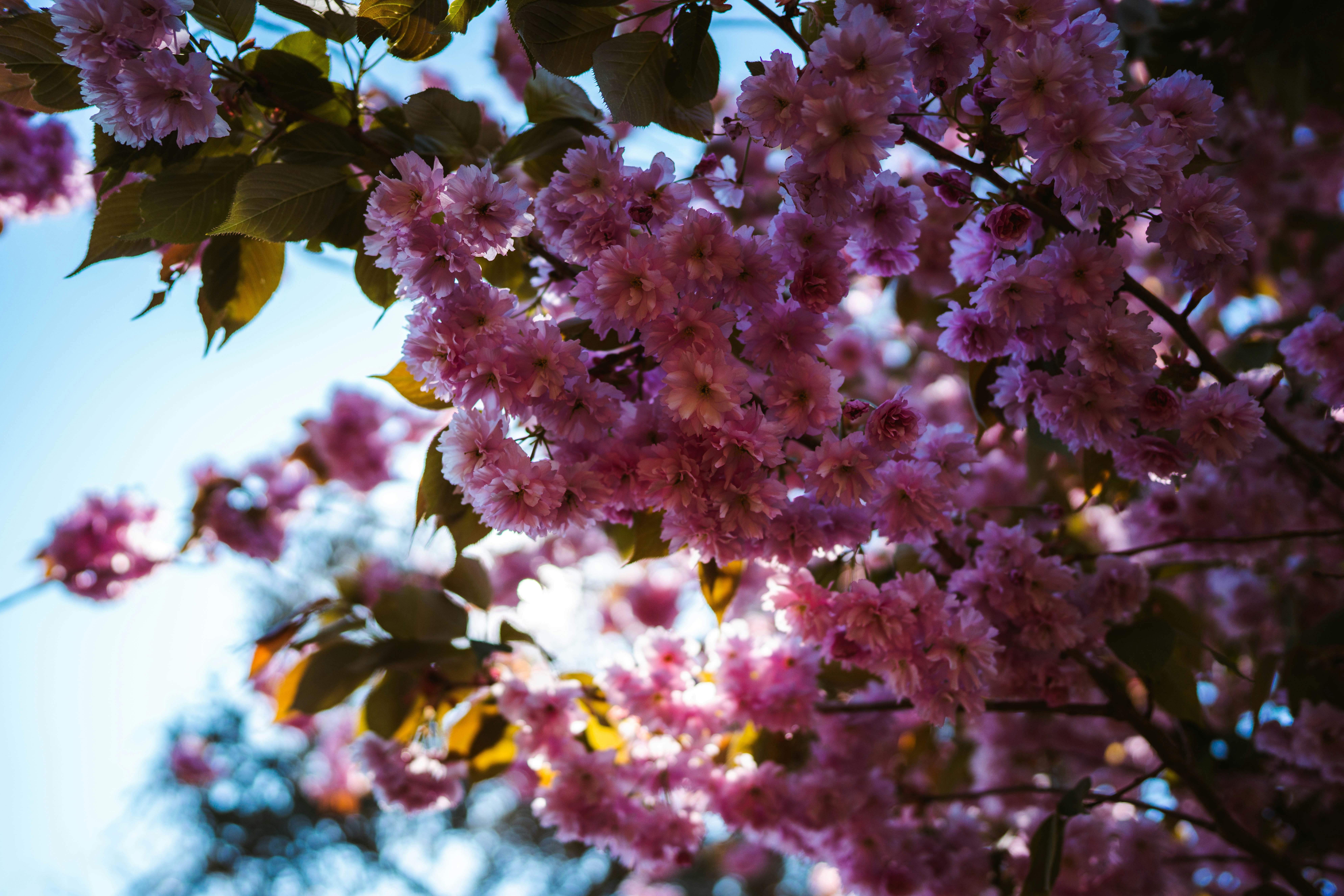 Photo by brunovdkraan