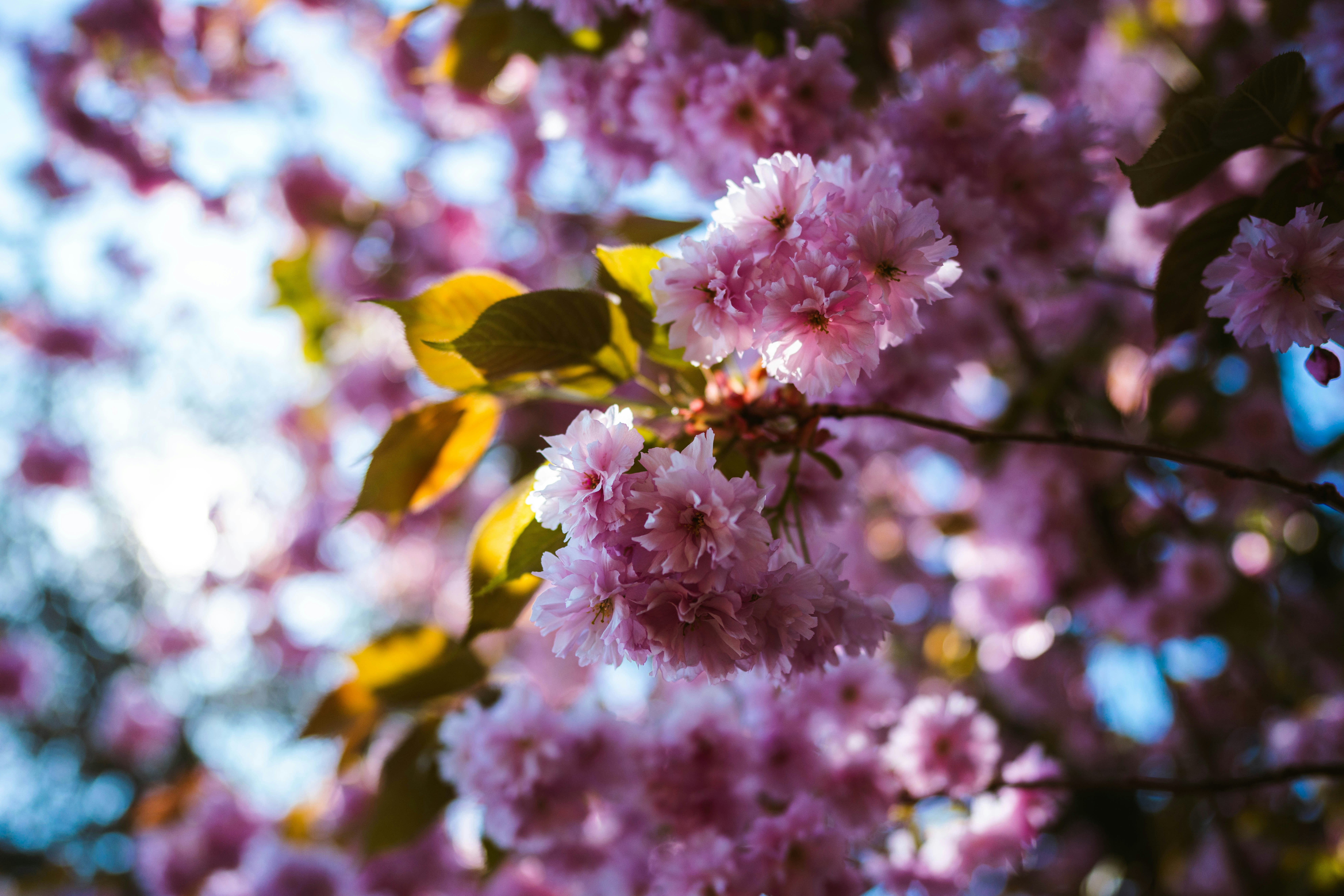 Photo by brunovdkraan