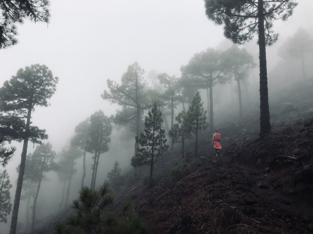 person in red jacket standing on brown grass field during foggy weather