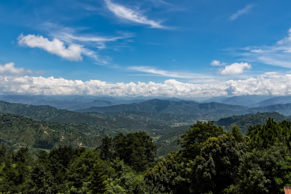 green trees and mountains under blue sky and white clouds during daytime