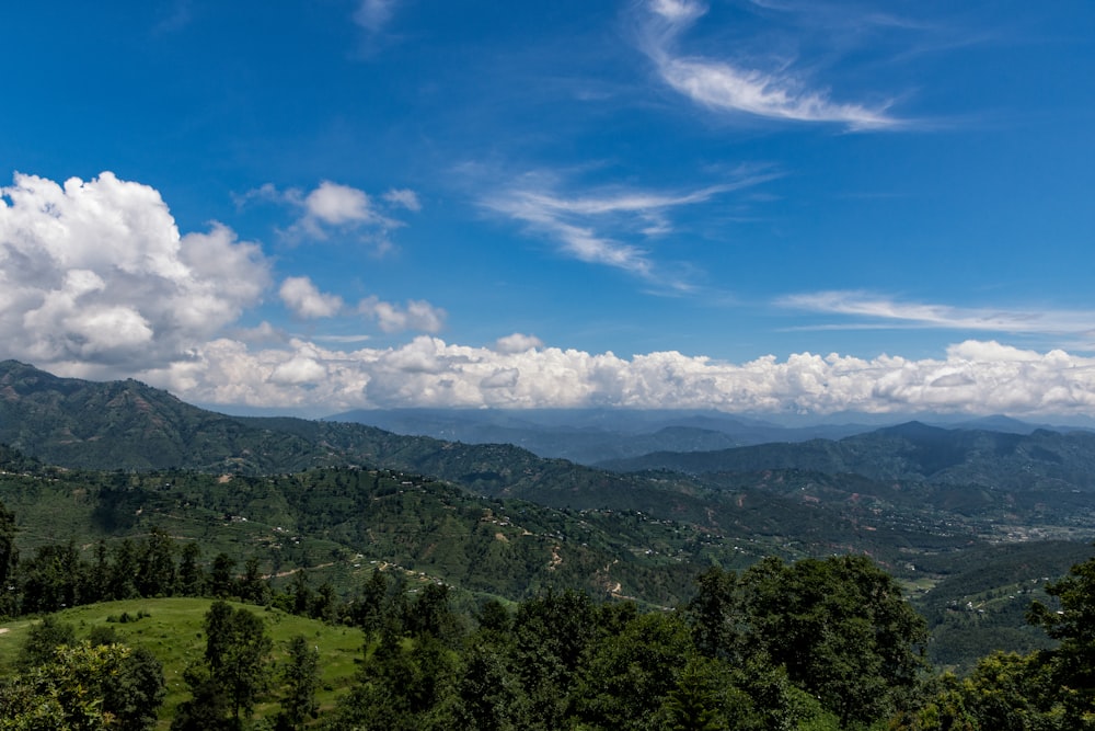 árboles verdes en la montaña bajo el cielo azul durante el día