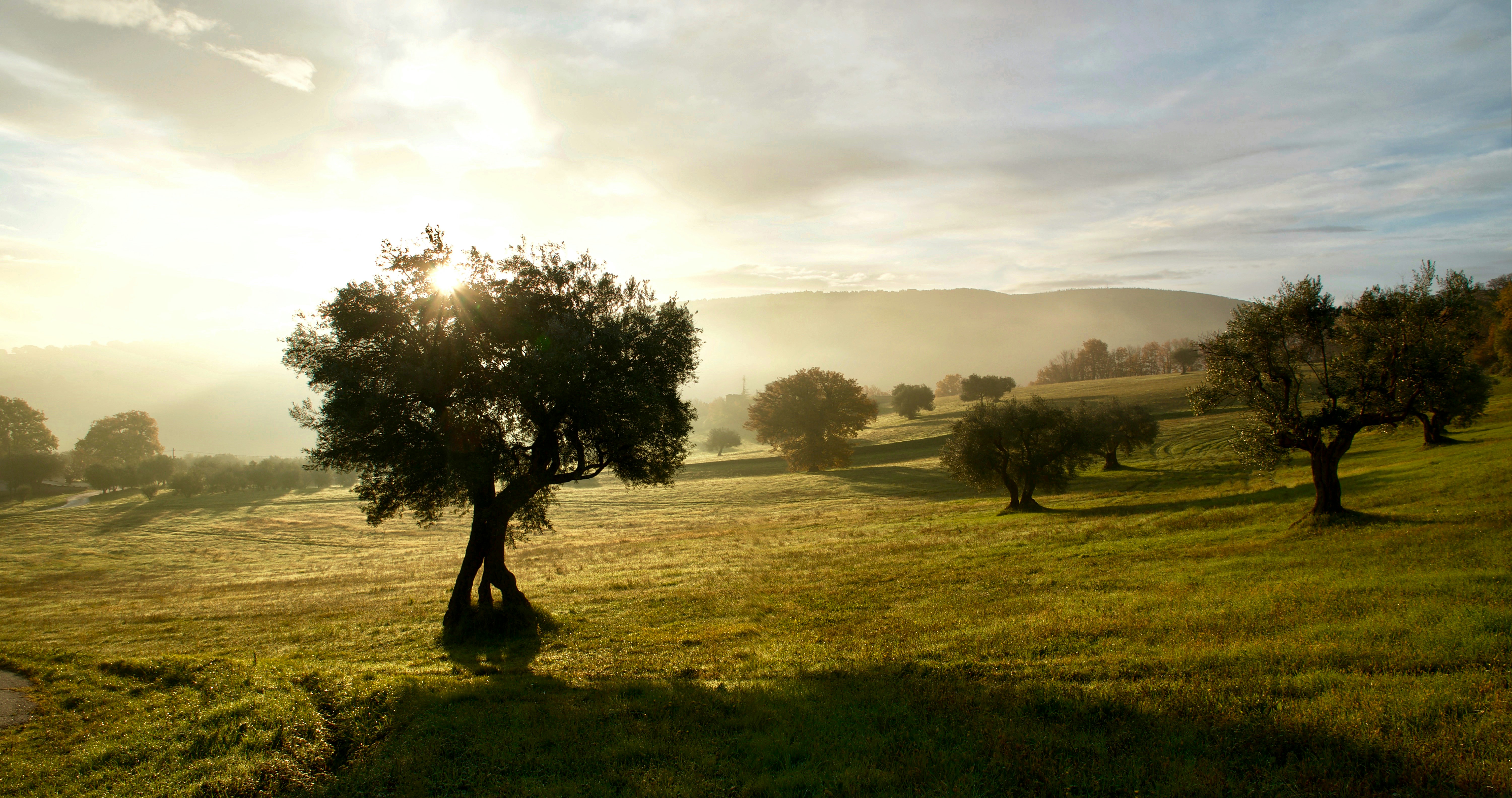 Photo by mariobeducci