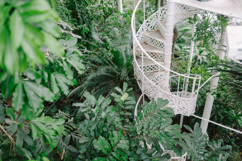 a spiral staircase in the middle of a garden