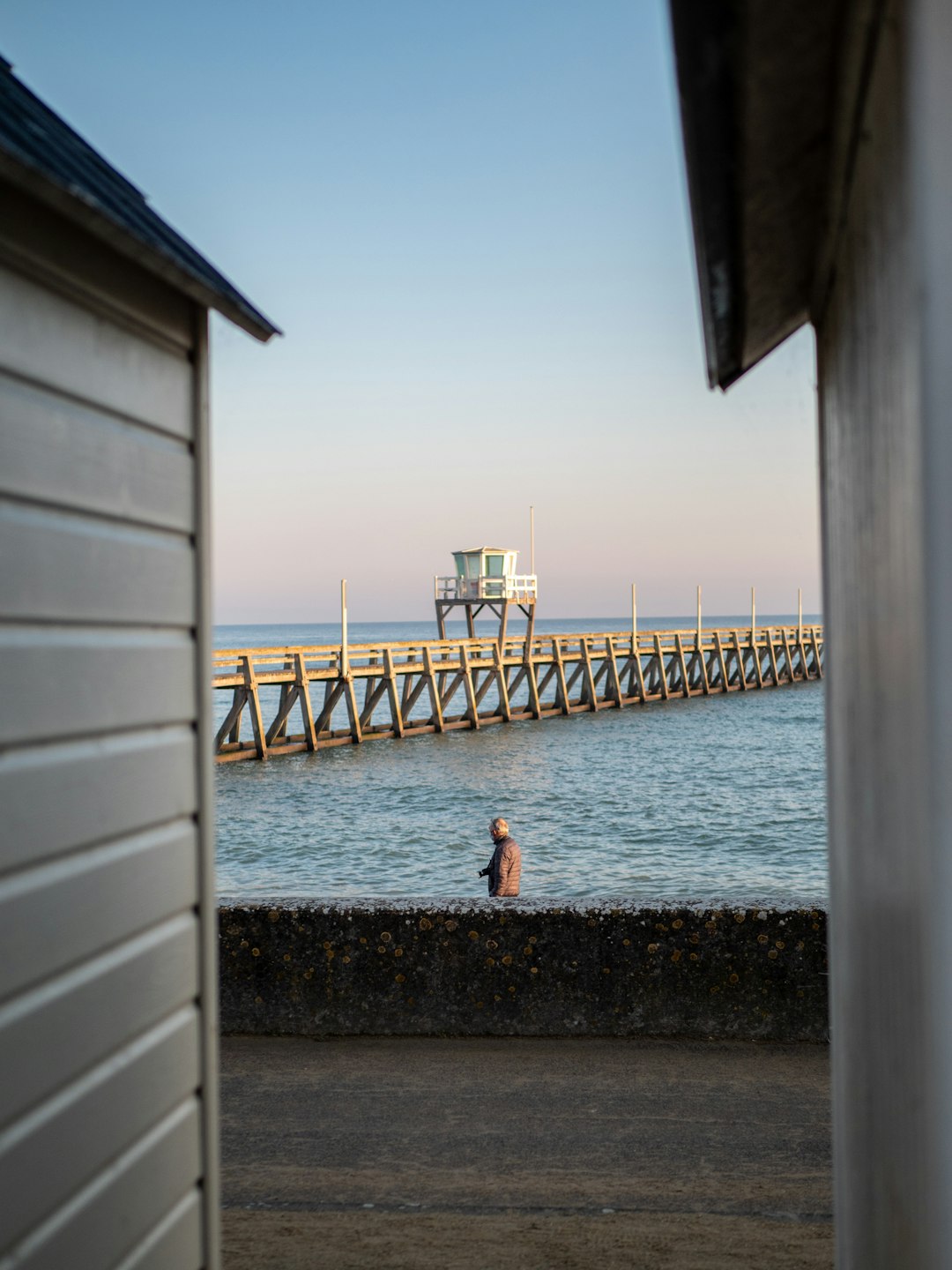 woman in white shirt and black pants standing on brown wooden dock during daytime