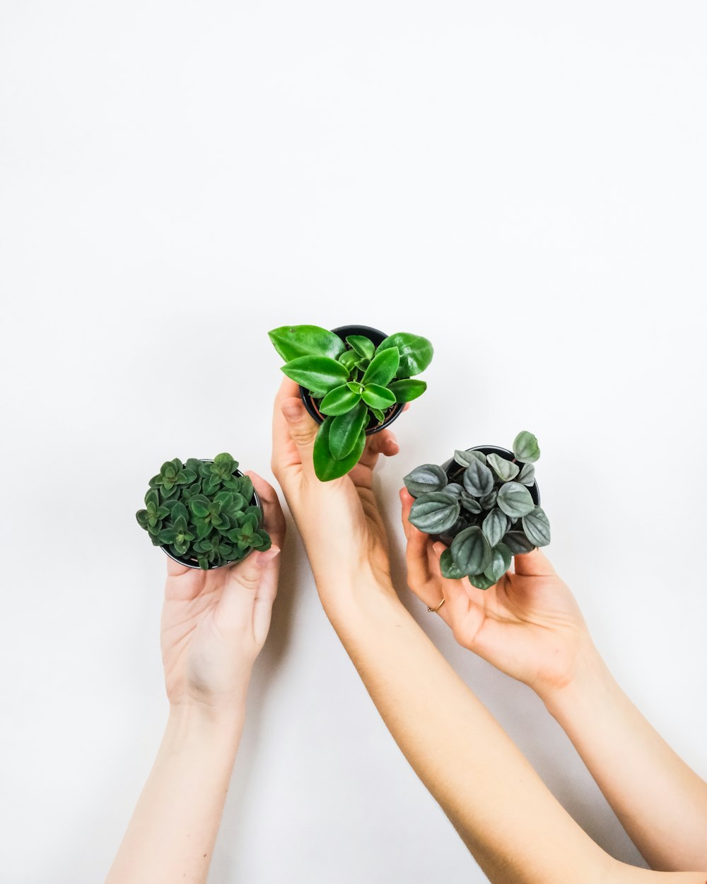 person holding green flower bouquet