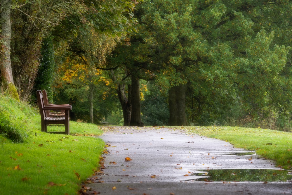 brown wooden bench on green grass field during daytime