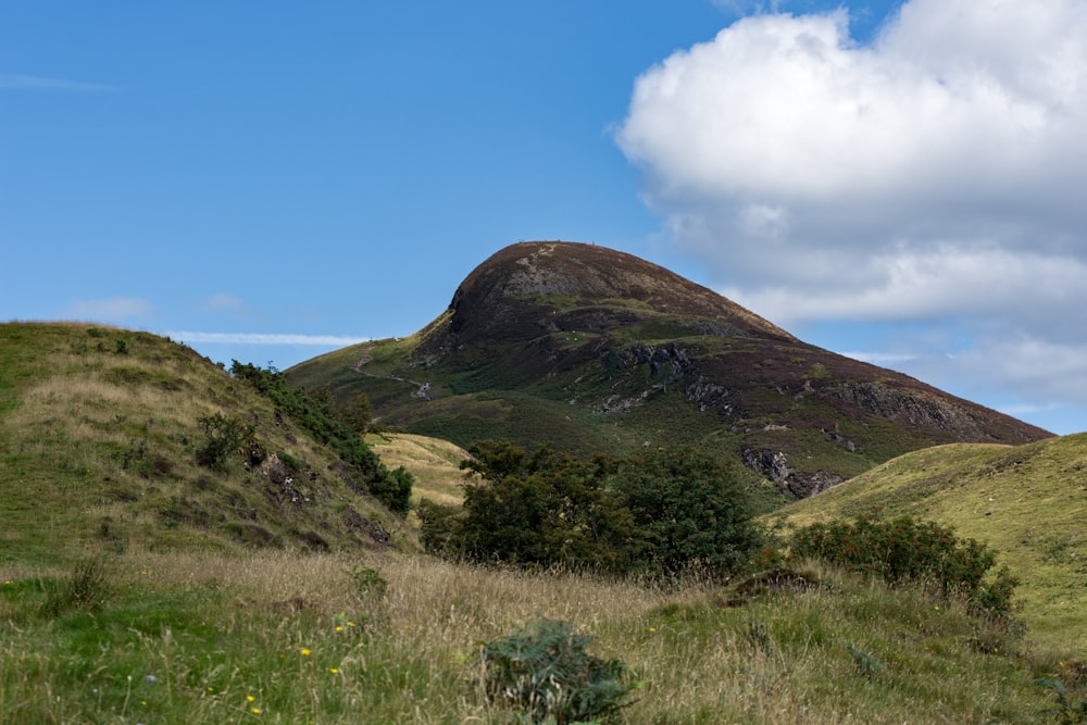 green grass field and mountain under blue sky during daytime