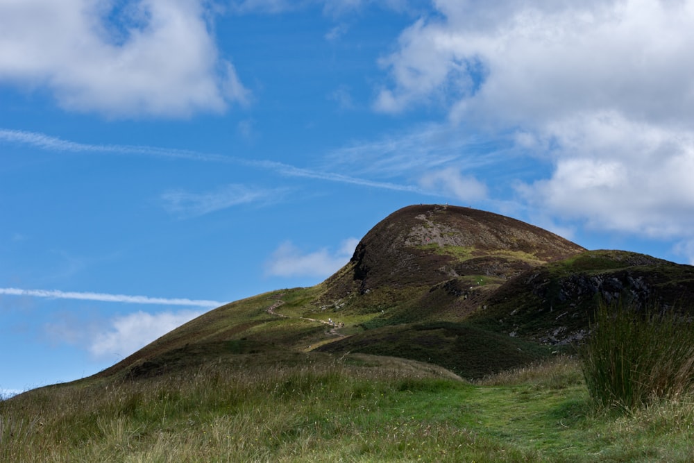 green grass field on hill under blue sky during daytime