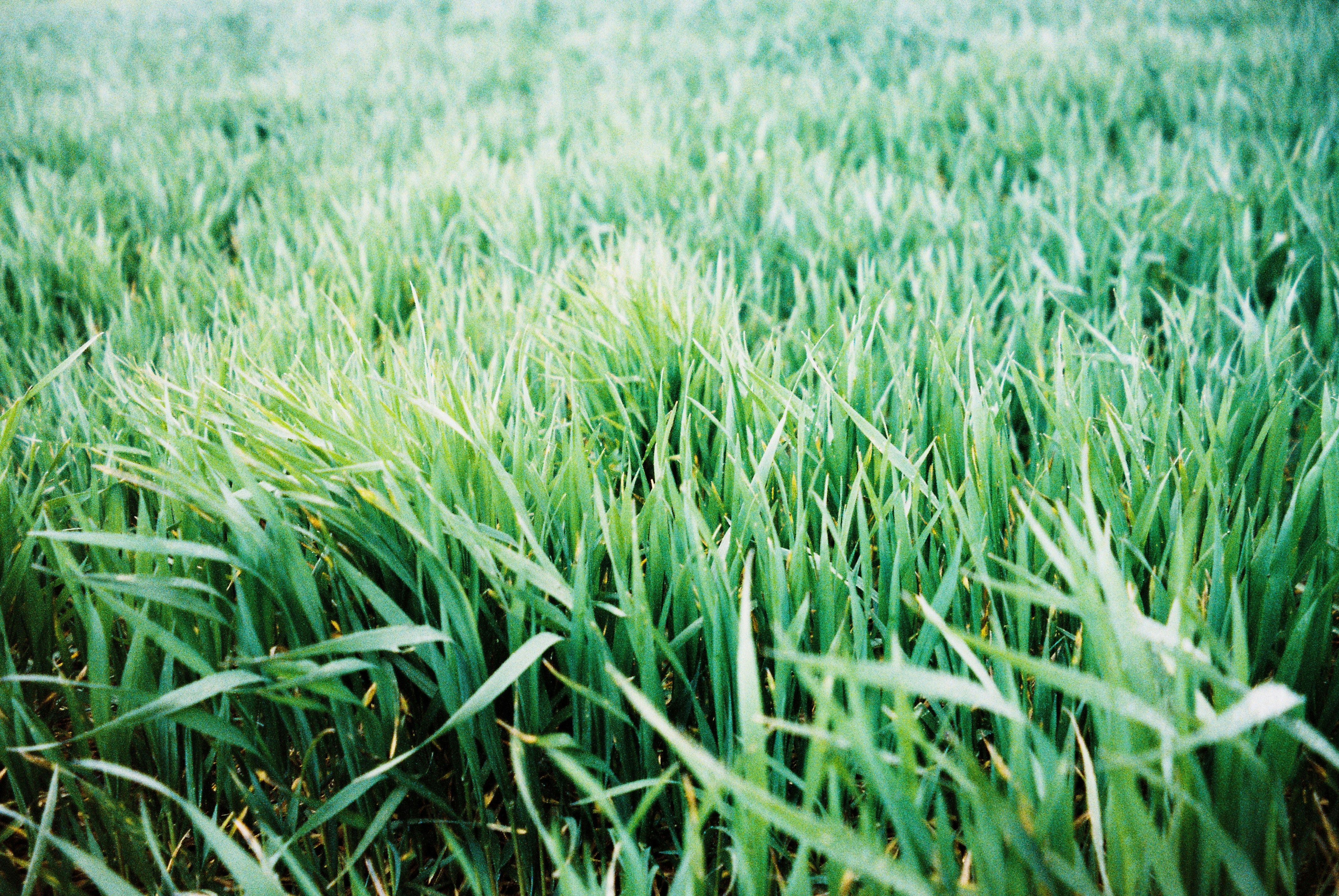 Photo by ddddddarya