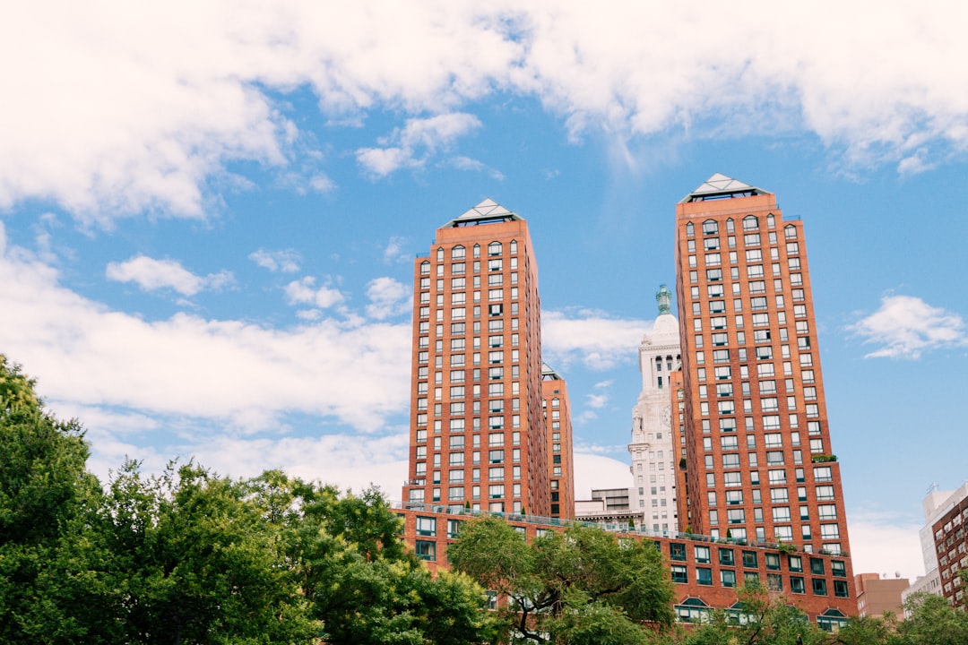 green trees near high rise buildings under blue sky during daytime