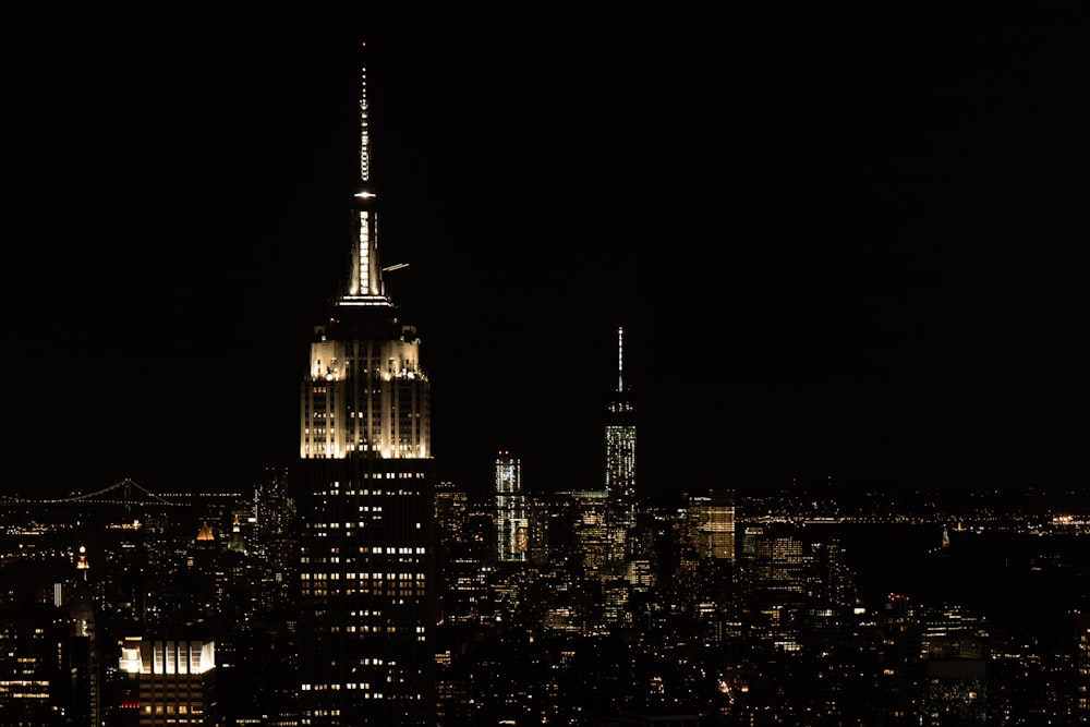 city skyline during night time