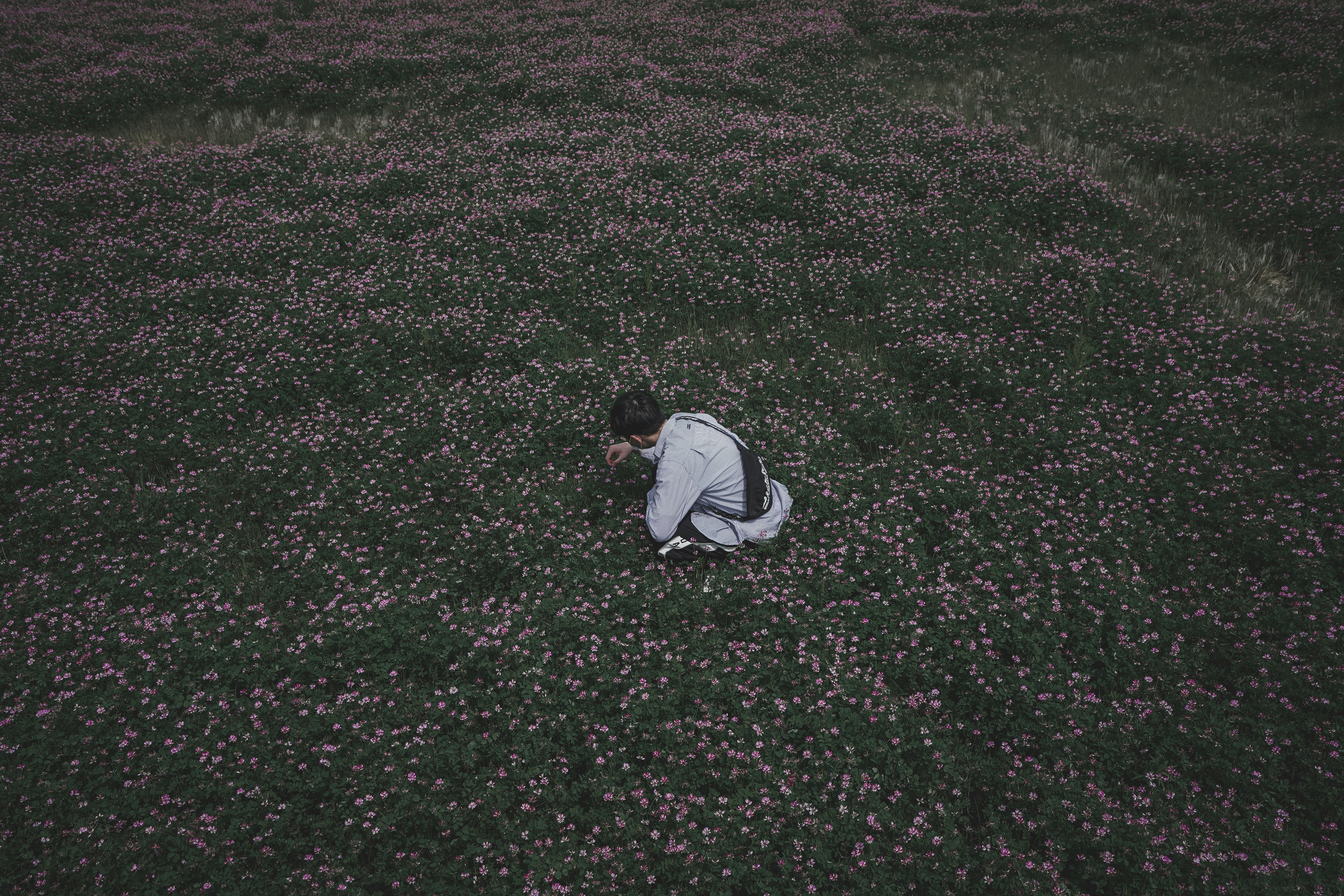 man in white and black hoodie sitting on green grass field during daytime