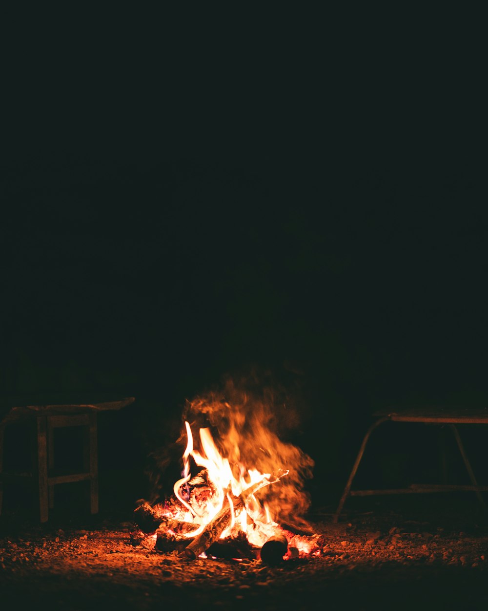 fire in the middle of the woods during night time