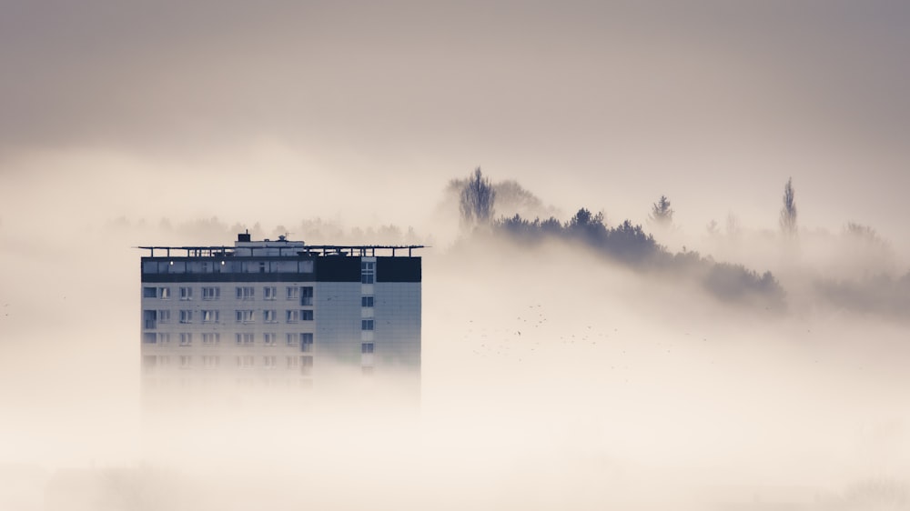 Edificio blanco cerca de los árboles durante el tiempo de niebla