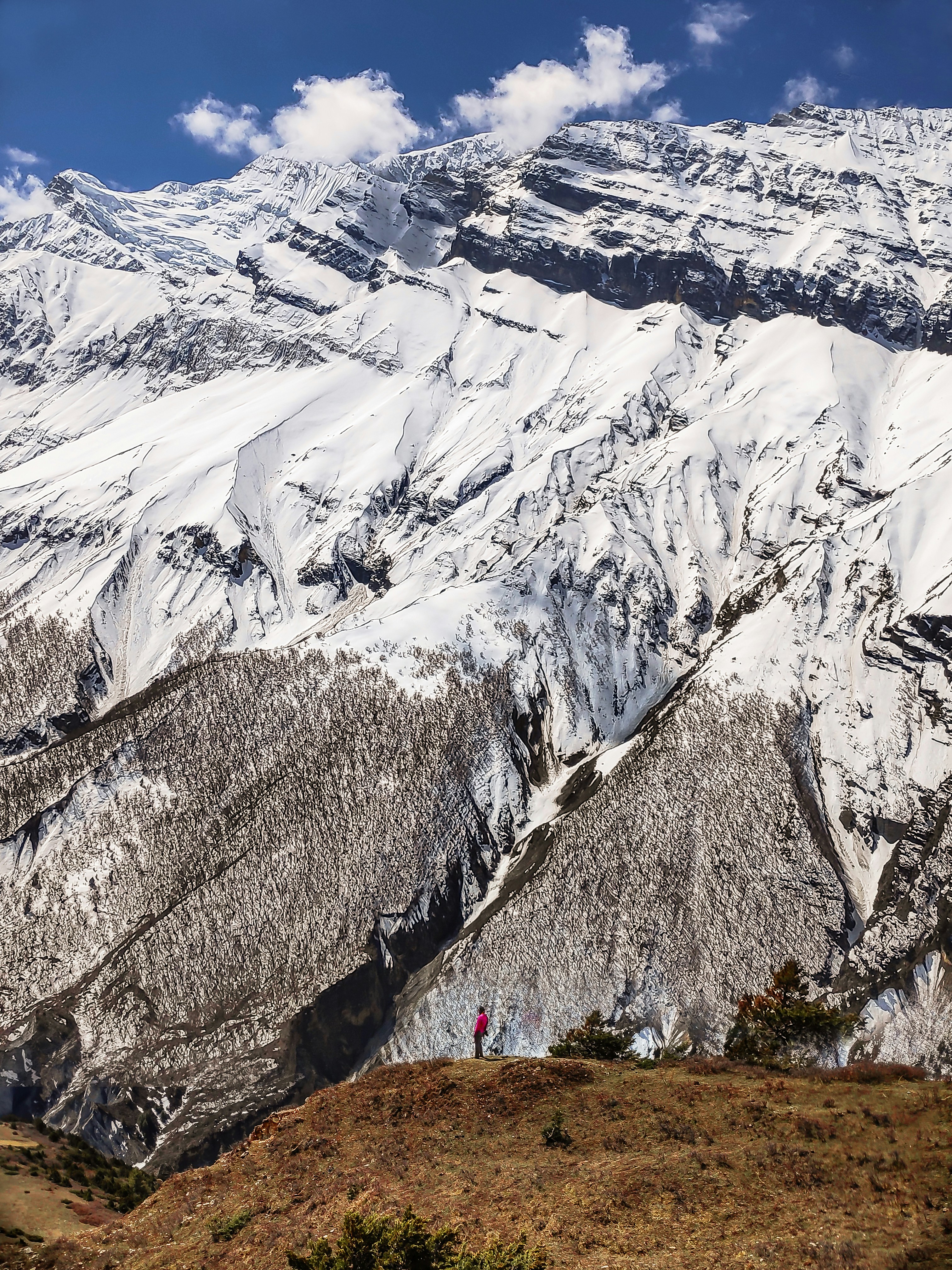 snow covered mountain during daytime