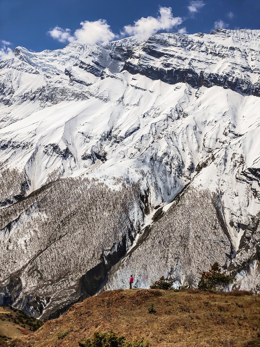 montagne enneigée pendant la journée