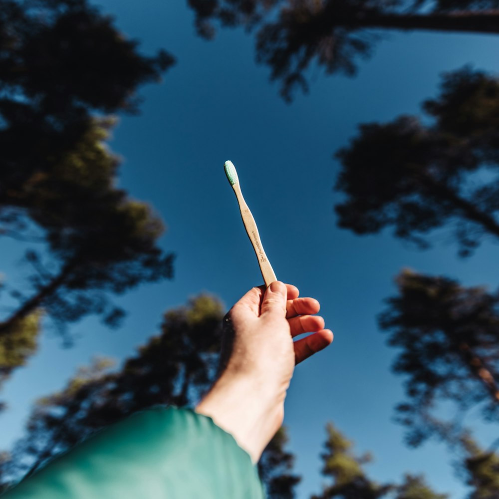 person holding white cigarette stick