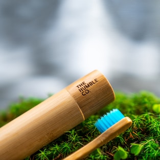 brown wooden stick on green grass