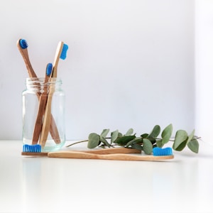 Bamboo Toothbrush Set