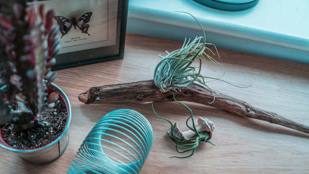 A whimsical arrangement of colorful, quirky home objects on a rustic wooden table.
