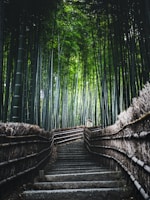 热门影视3