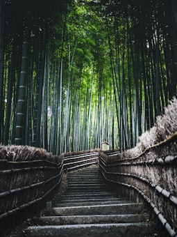 Hakusuikan ryokan in Ibusuki, Kagoshima