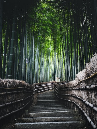 A serene pathway lined with tall bamboo stalks on each side, leading upwards through a lush green forest. The path is bordered by woven fences made of natural materials, adding to the earthy ambiance. The trees create a canopy overhead, with sunlight filtering through, creating a tranquil, inviting atmosphere.