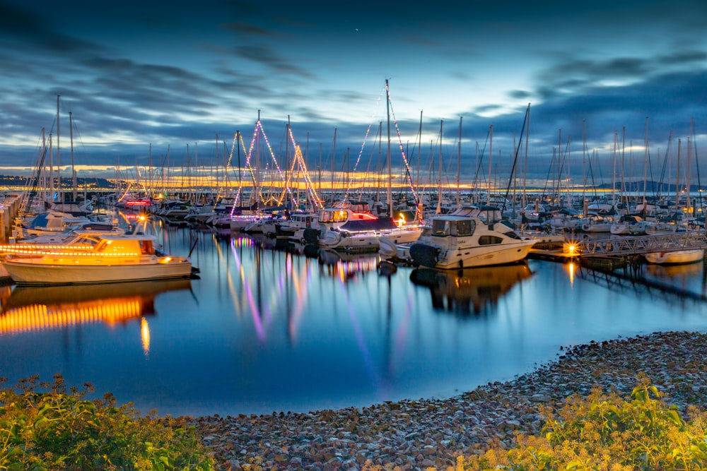 boats on dock under blue sky during daytime