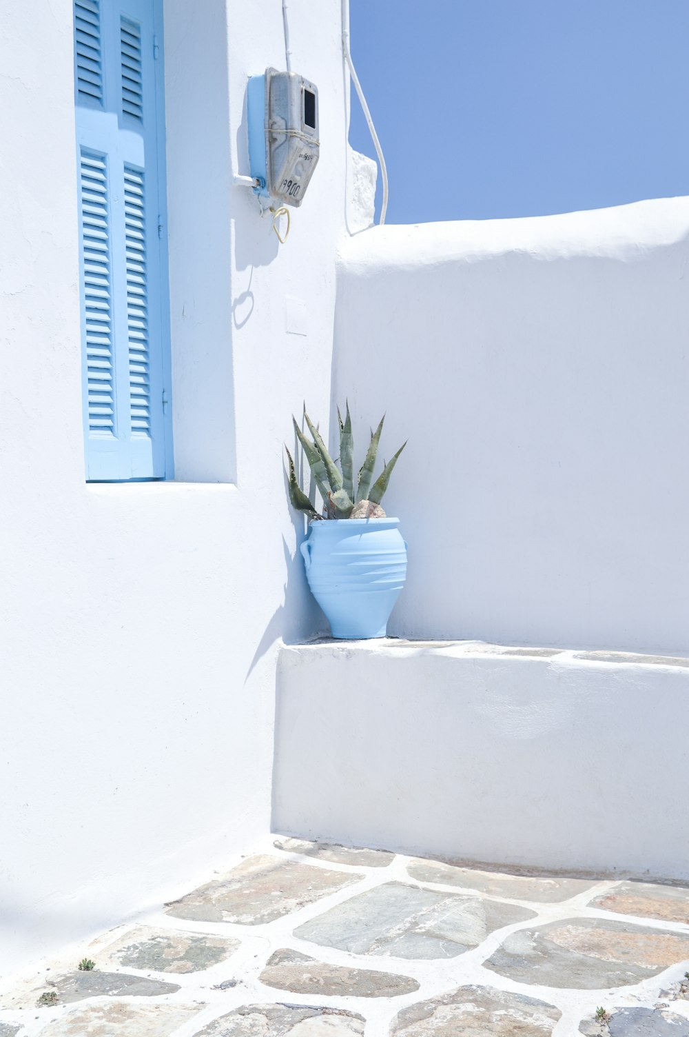 green potted plant on blue wooden window