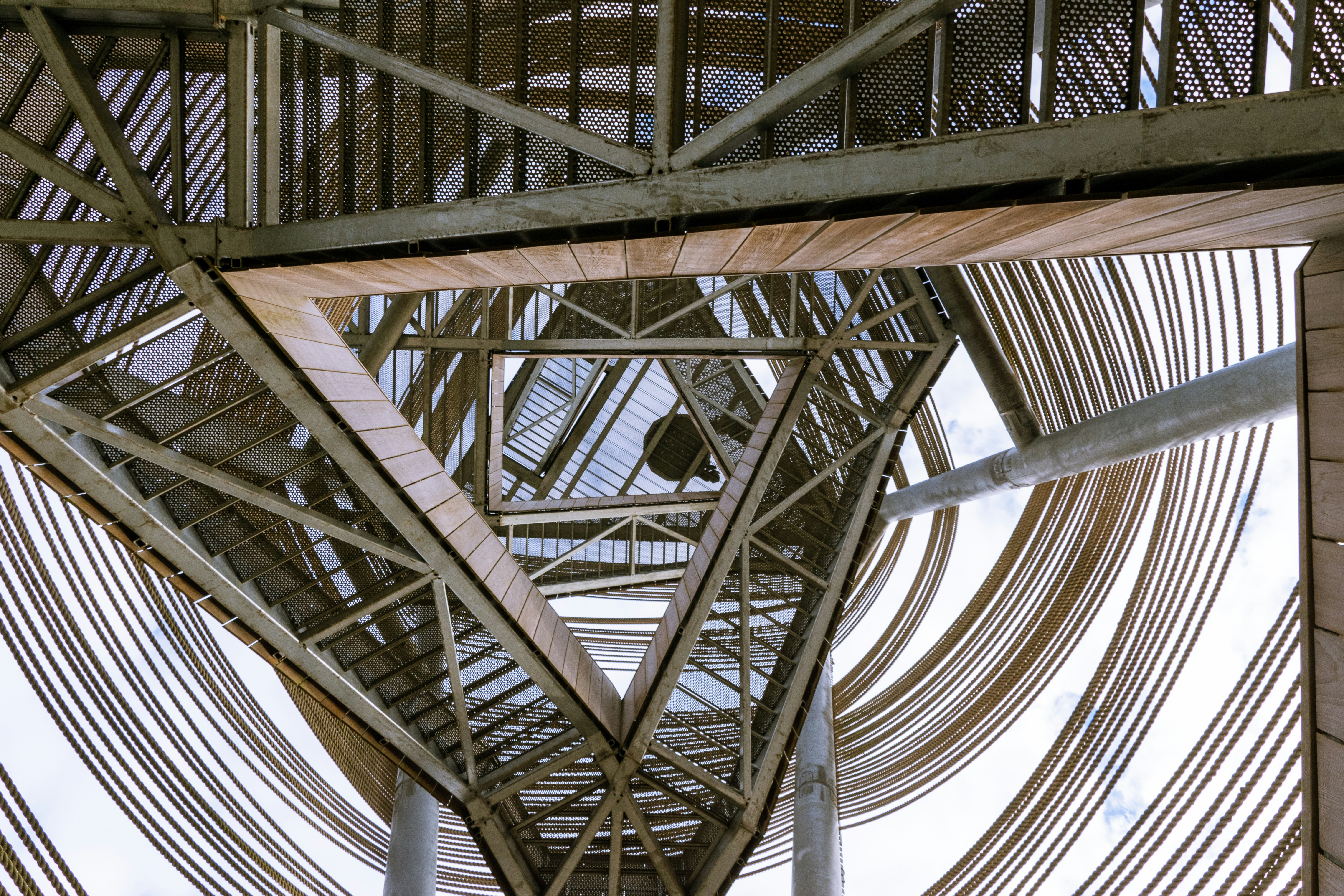 Frog Perspective Pictures Download Free Images on Unsplash