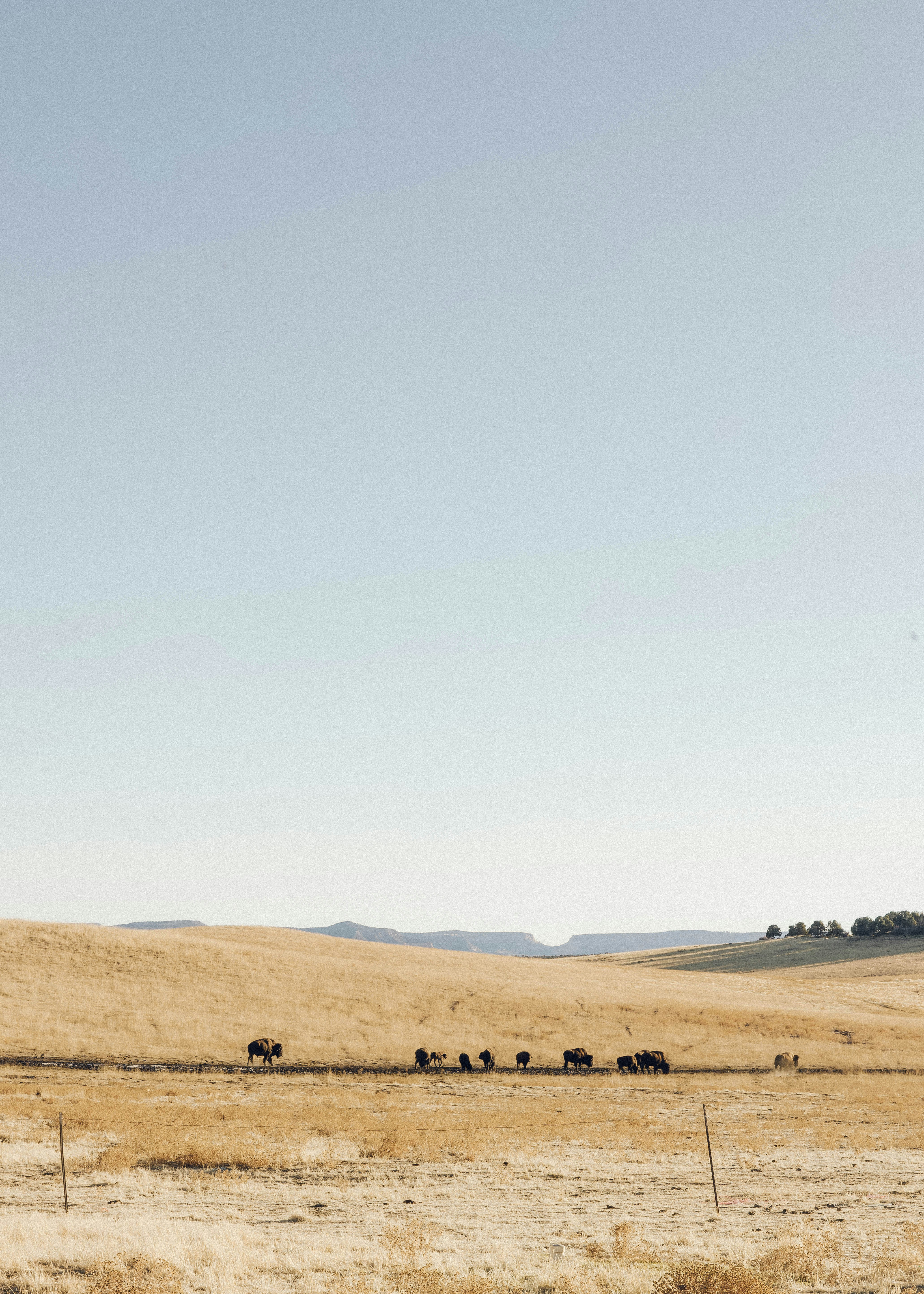 Photo by kevin_turcios