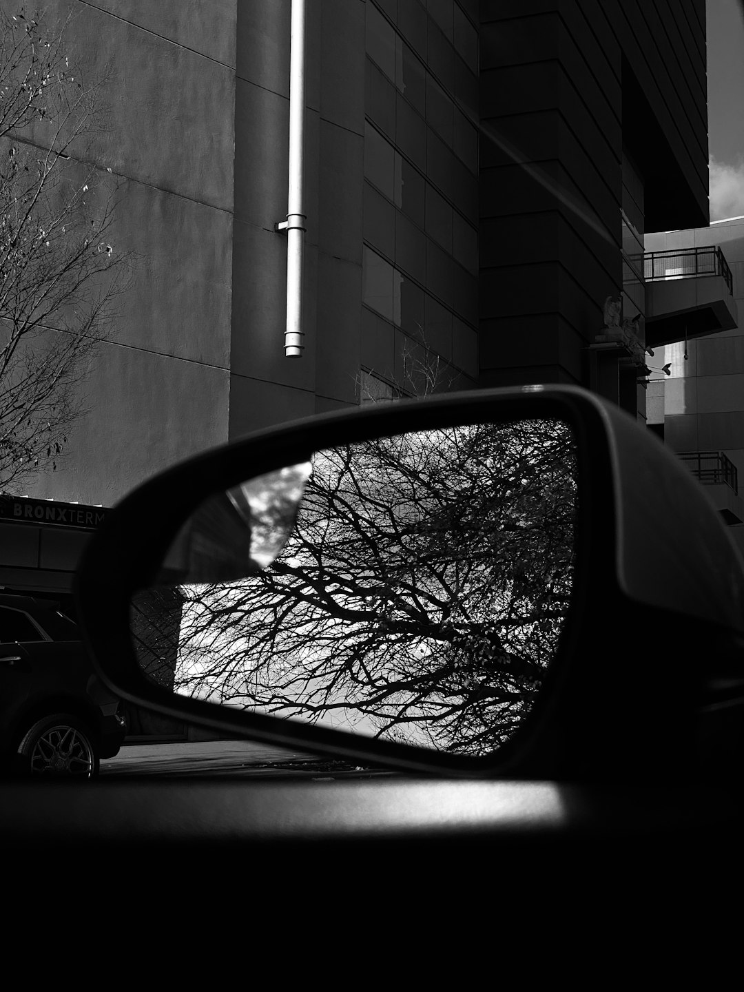 car side mirror reflecting bare trees
