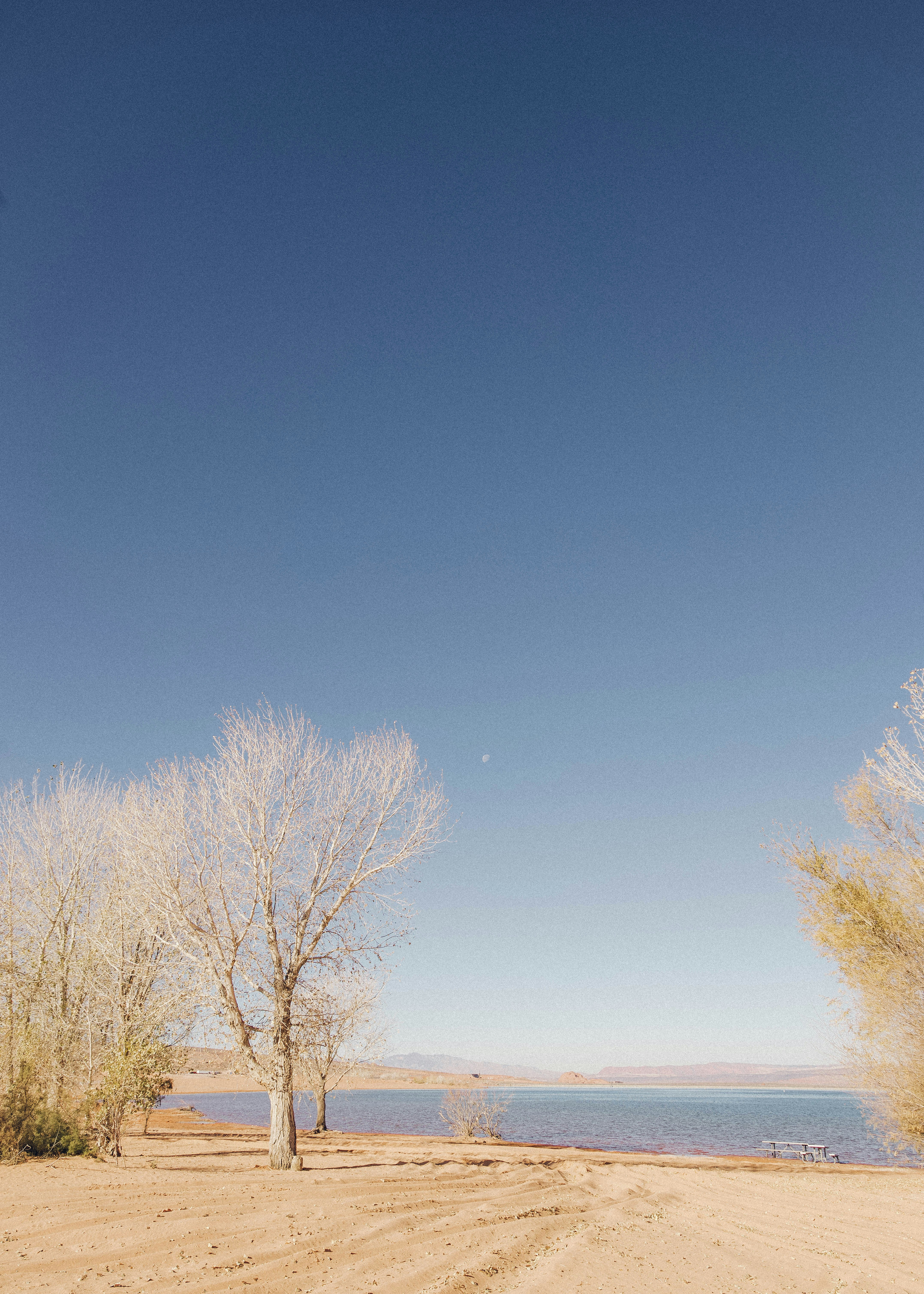 Photo by kevin_turcios