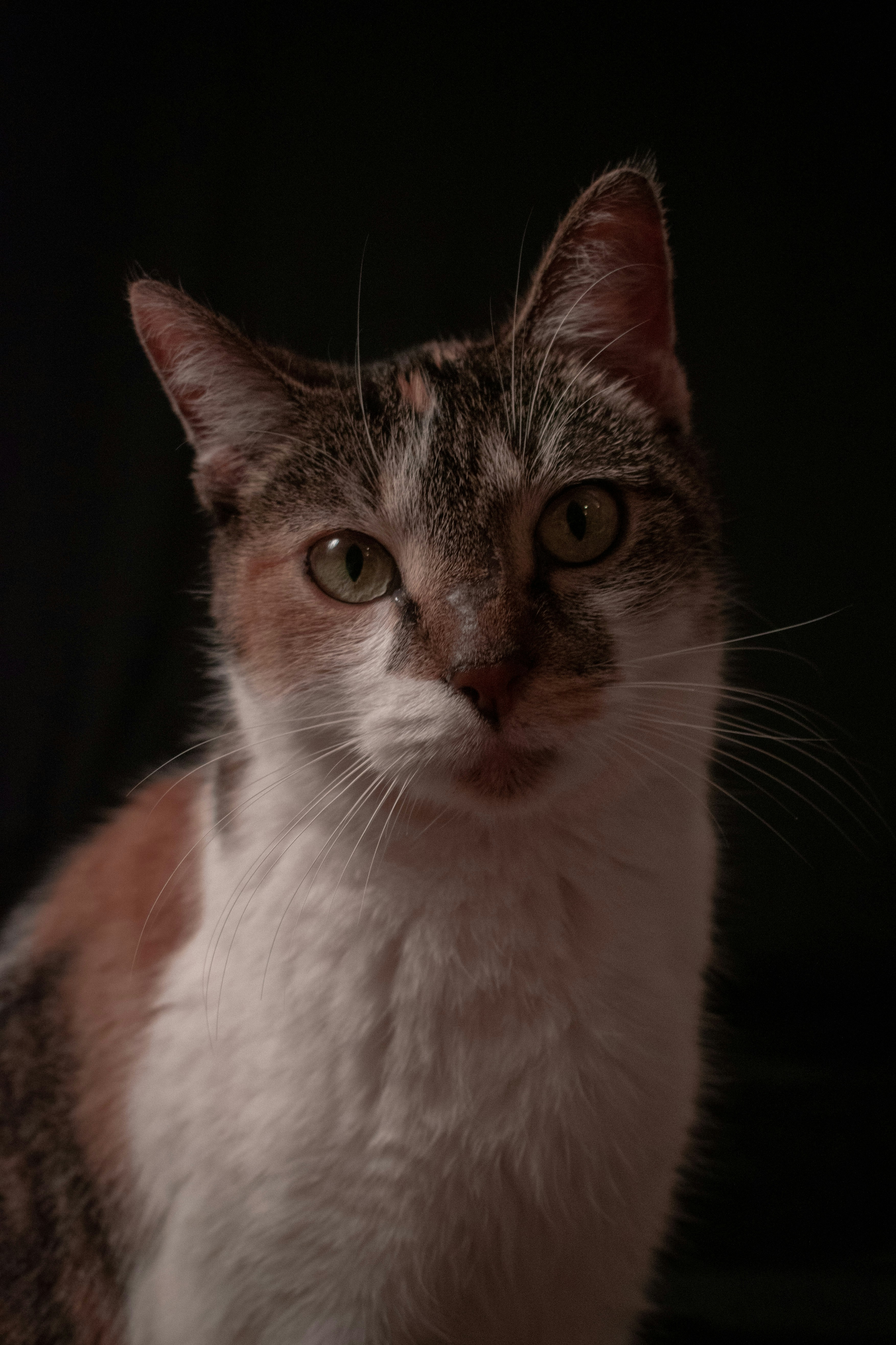 Photo by mariahhewines