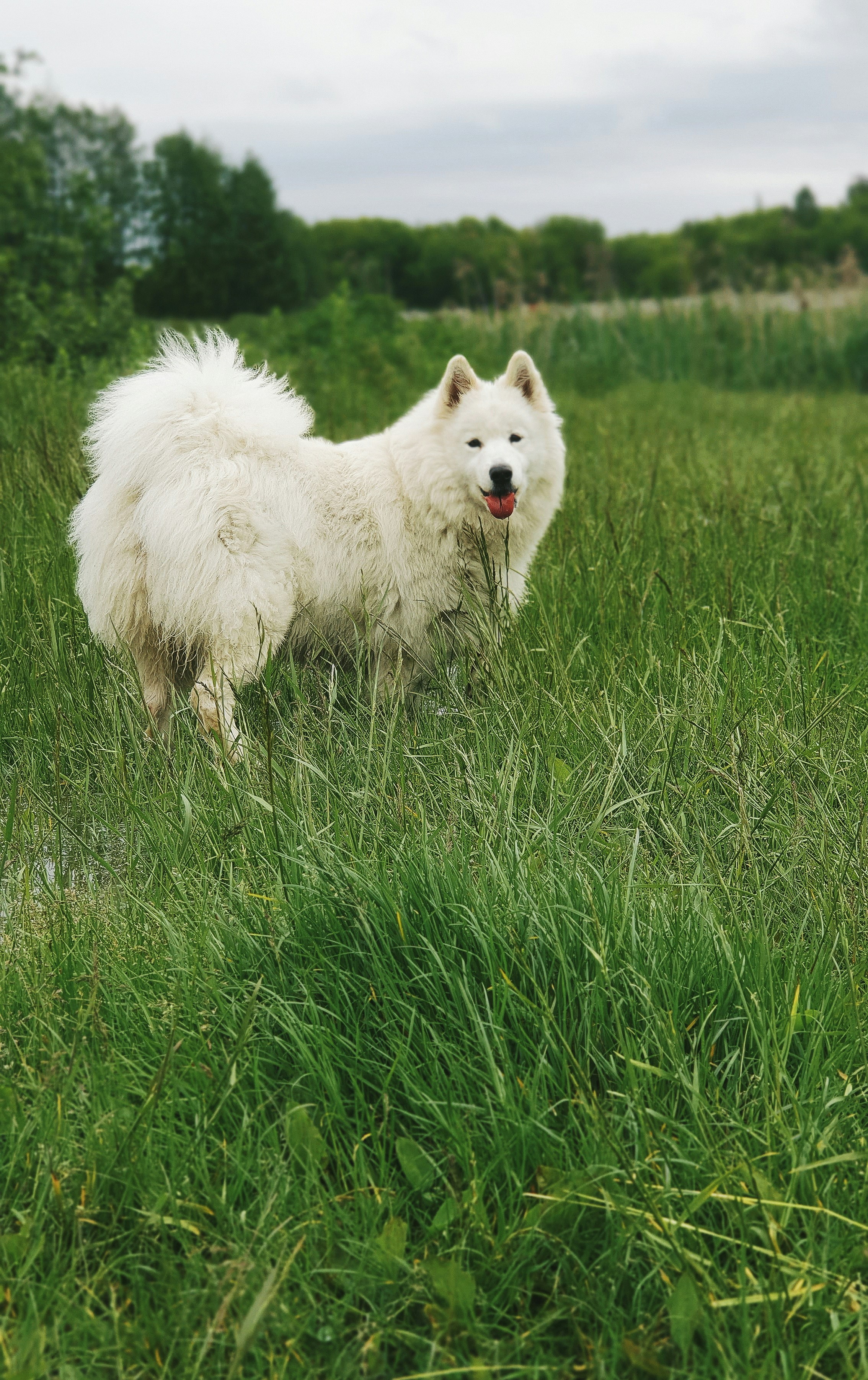 Photo by vanya_cheshchevyi