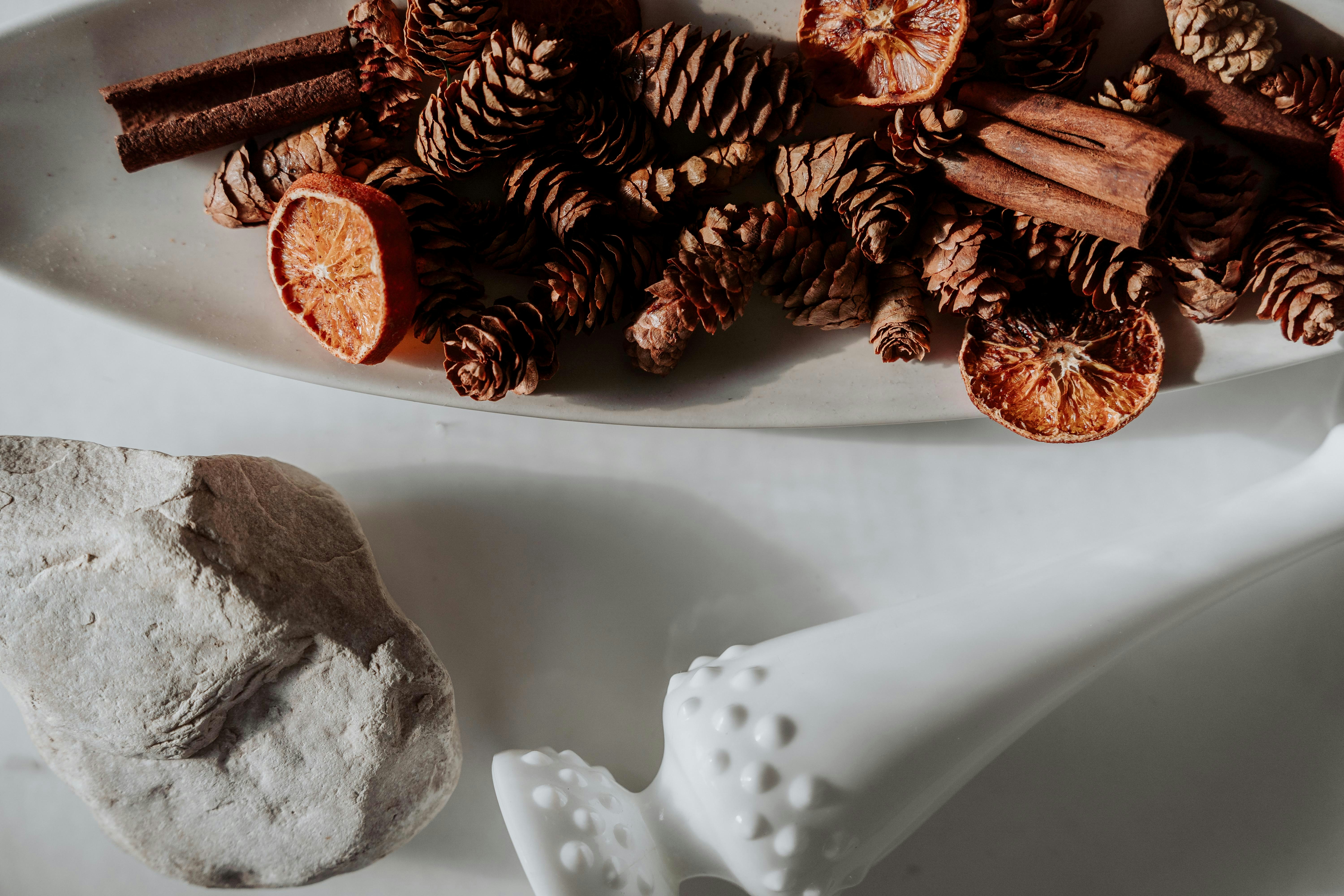 Photo by imagerybymikaylaj