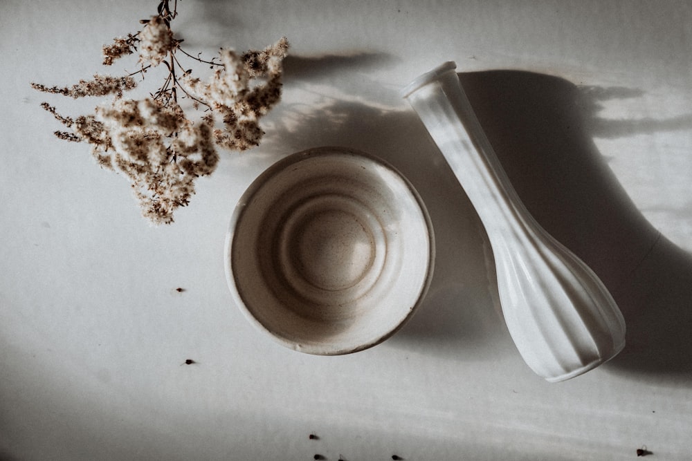 cuenco de cerámica blanca junto a hojas secas marrones
