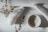 Hands gently arranging simple, natural elements on a clean wooden surface.