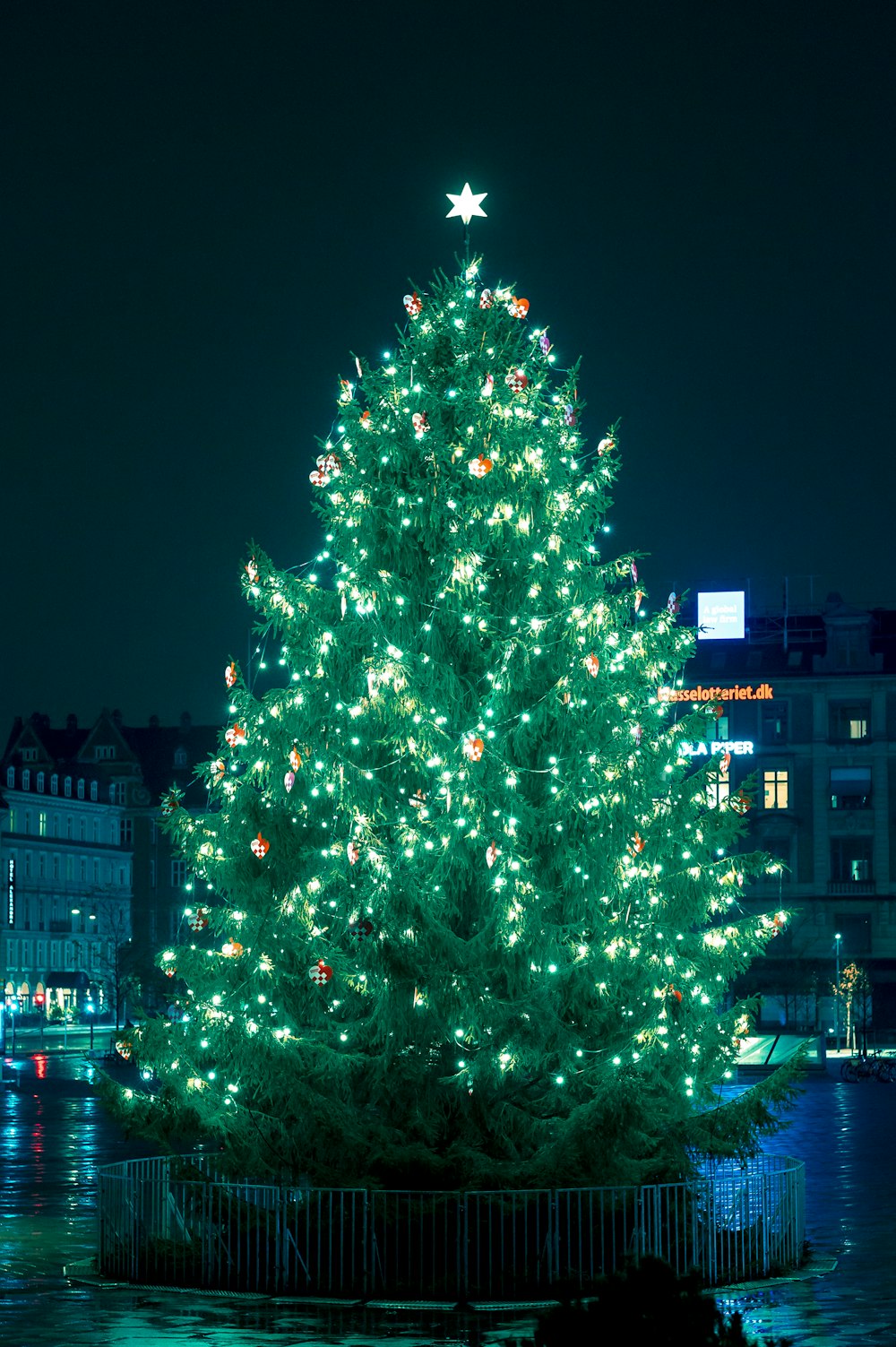 green christmas tree with string lights during night time