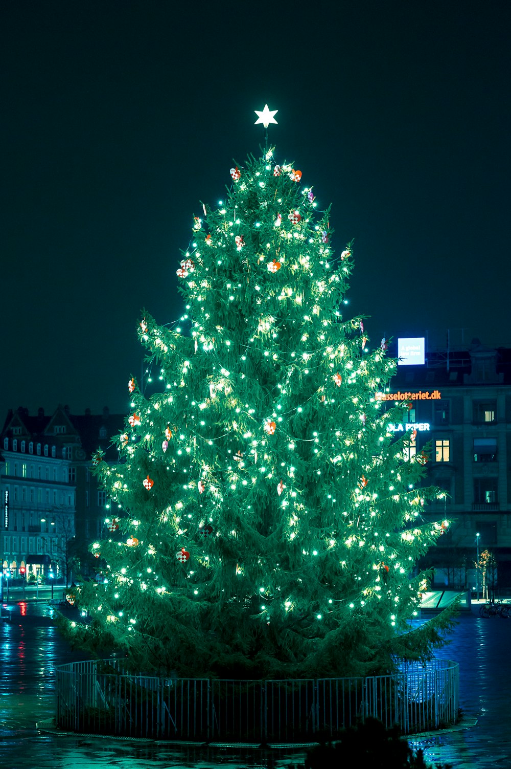 밤 시간 동안 문자열 조명이 있는 녹색 크리스마스 트리