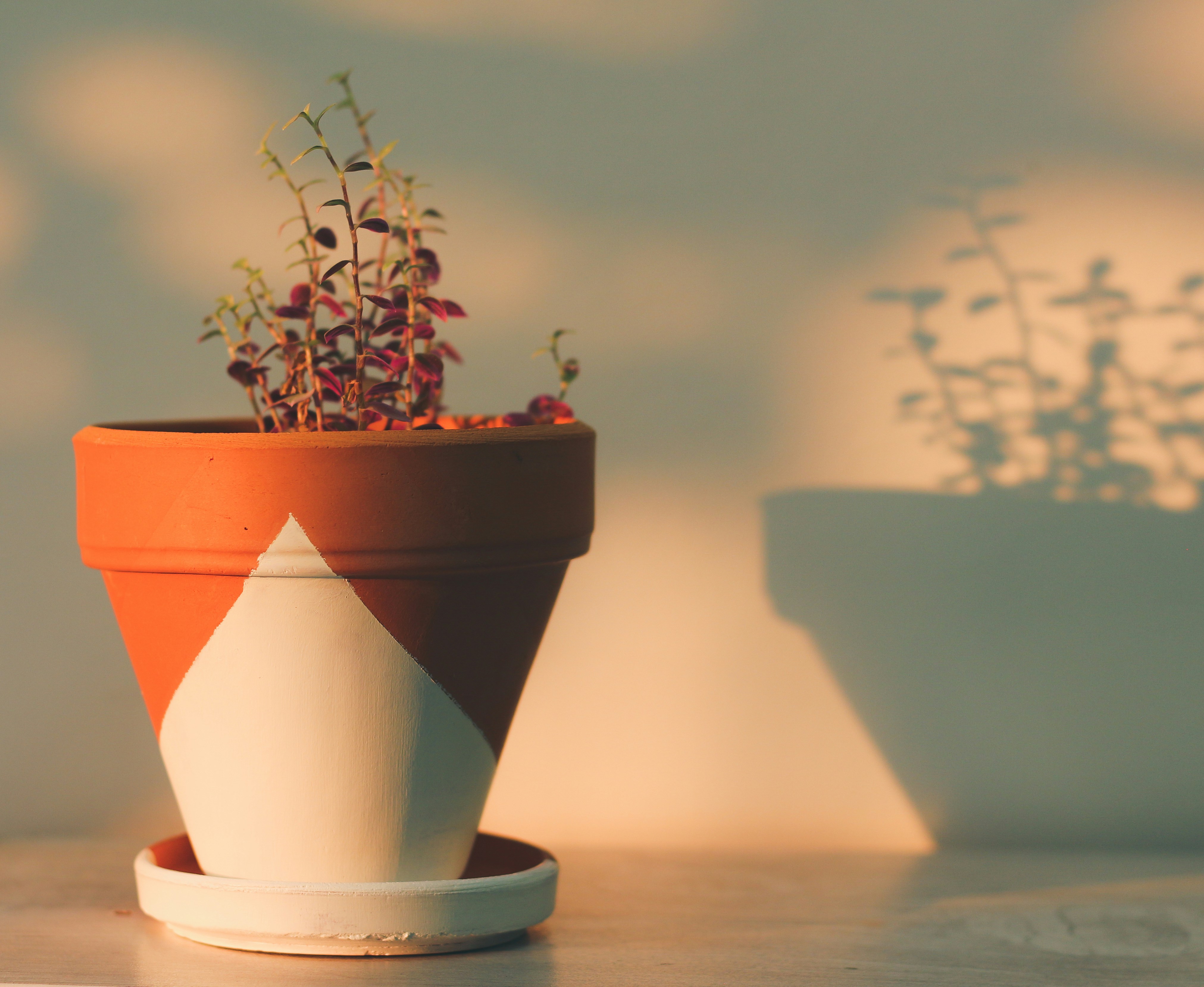 Photo by nasimkeshmiri