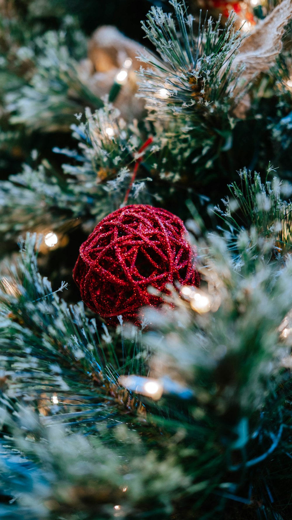 red ball ornament on green pine tree