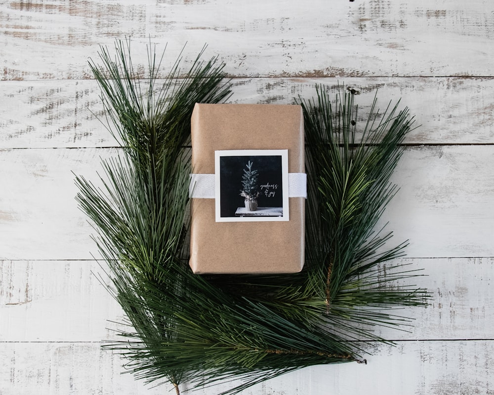 brown and black book on green plant