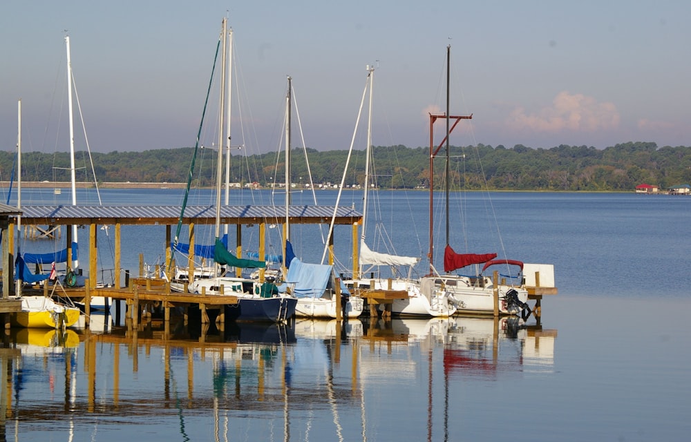 white and blue boat on body of water during daytime