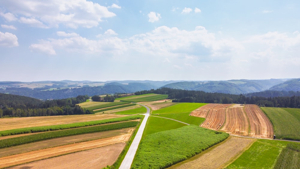 green grass field near road during daytime