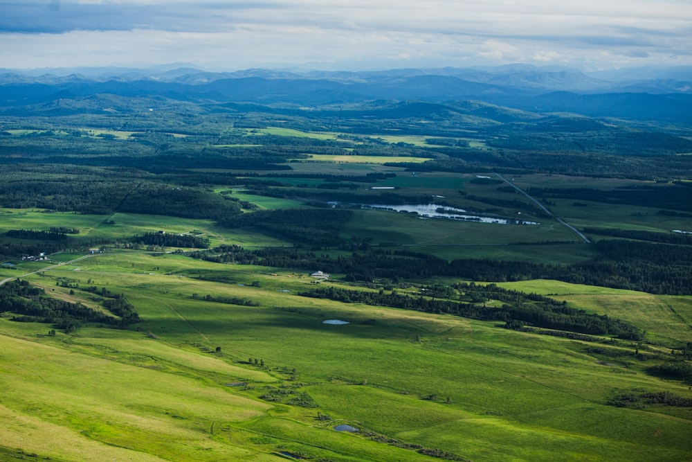 Campo de hierba verde bajo el cielo blanco durante el día